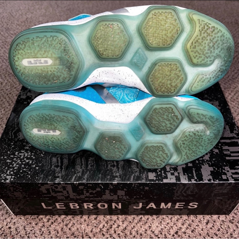 Nike Zoom LeBron XIV HWC (GS) Nature Boy (6.5Y) - Picture 7 of 7